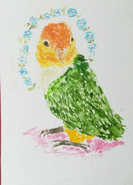 Aquarelle d'un perroquet, tête orange, corps vert