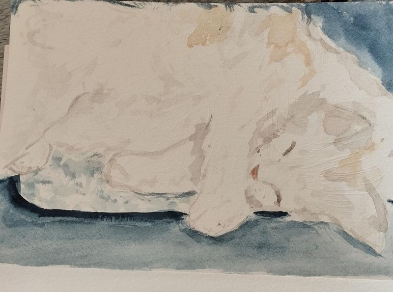 Une aquarelle d'un chat blanc et beige qui dort