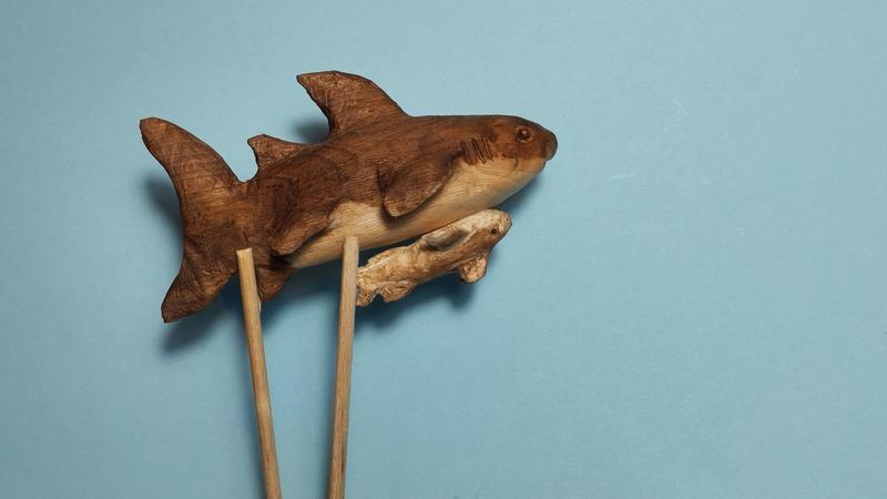 Le requin et le remora de profil 