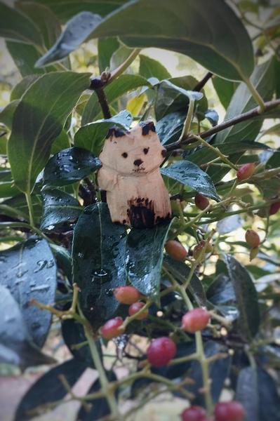 Un renard en bois, au milieu d'une branche de sureau