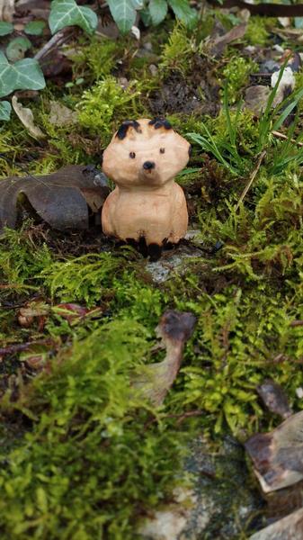 Un renard en bois, entouré de mousse