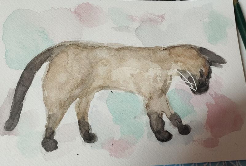Aquarelle de la siamoise, de profil