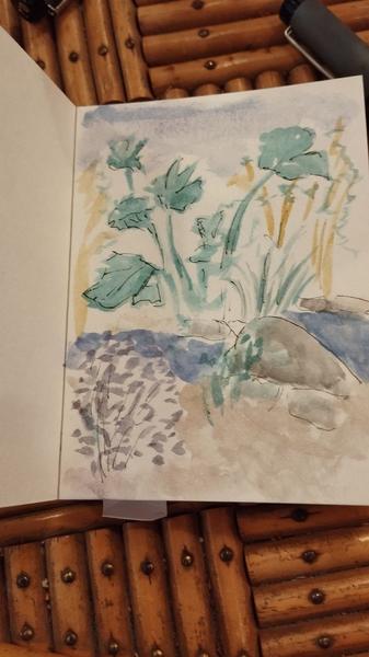 Aquarelle d'un jardin autour d'une mare