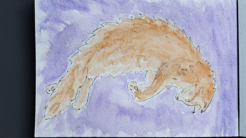 Aquarelle d'un maine coon roux allongé