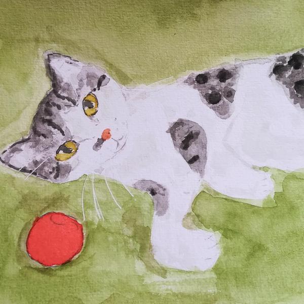 Aquarelle d'une chatte grise et blanche à côté d'une balle rouge 