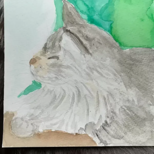Aquarelle d'une maine coon tigrée grise de profil 