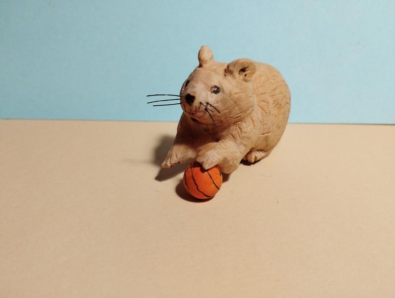 une autre vue du rat