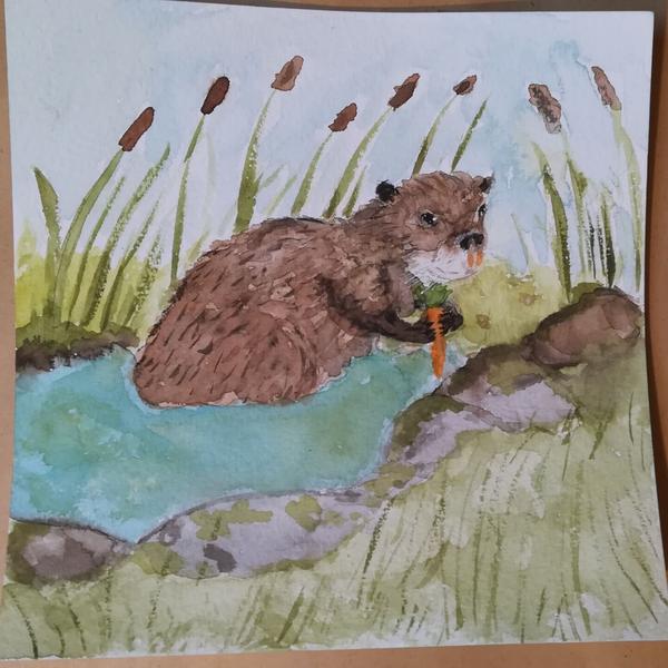 Aquarelle d'un ragondin dans une mare. Il mange une carotte
