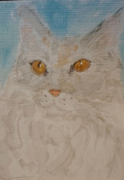 Aquarelle d'un chat beige à poils longs 