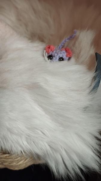 Une souris au crochet au milieu de la fourrure d'un maine coon blanc