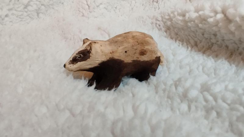 Le blaireau vu de profil