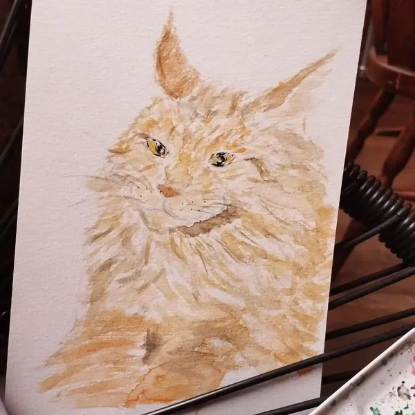 Aquarelle d'un main coon roux