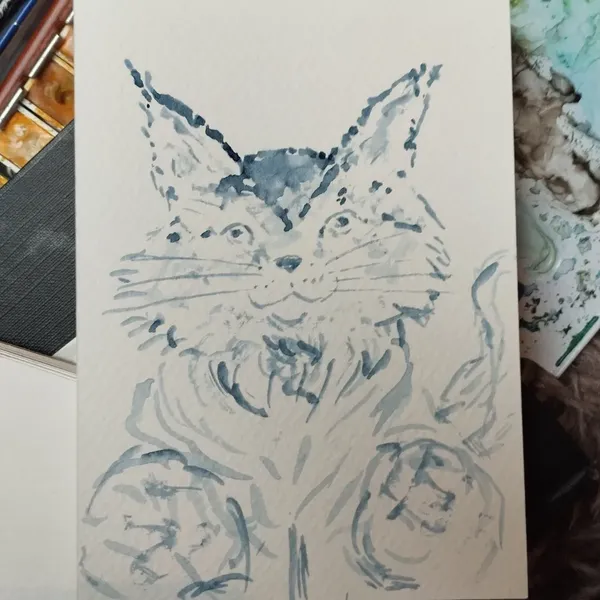 Aquarelle d'un Maine coon bleu marine 