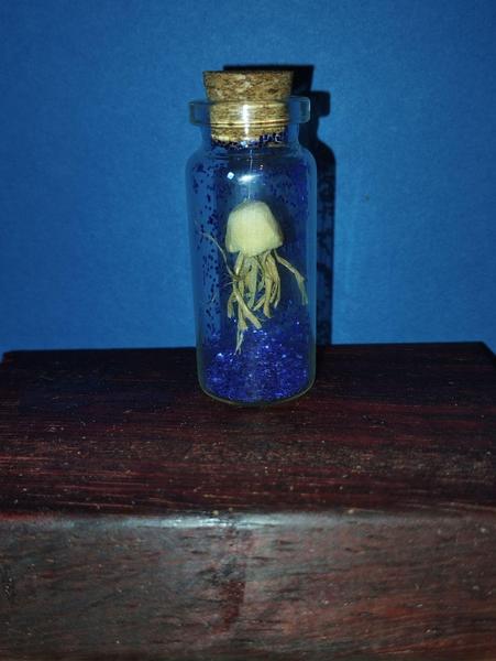 Une méduse en bois dans une fiole remplie de paillettes bleues
