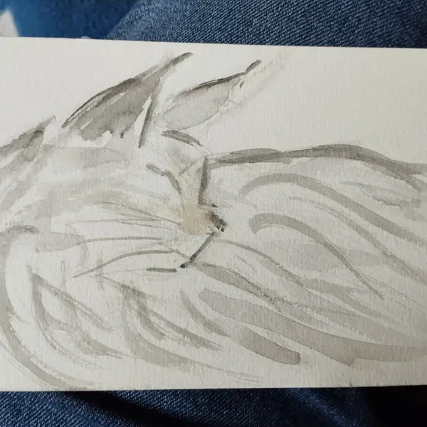 Aquarelle au style épuré d'un chat gris à poils longs 