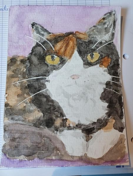 Aquarelle d'une chatte tricolore 
