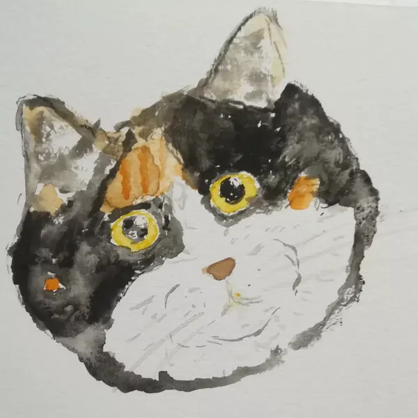 Aquarelle d'une chatte tricolore 