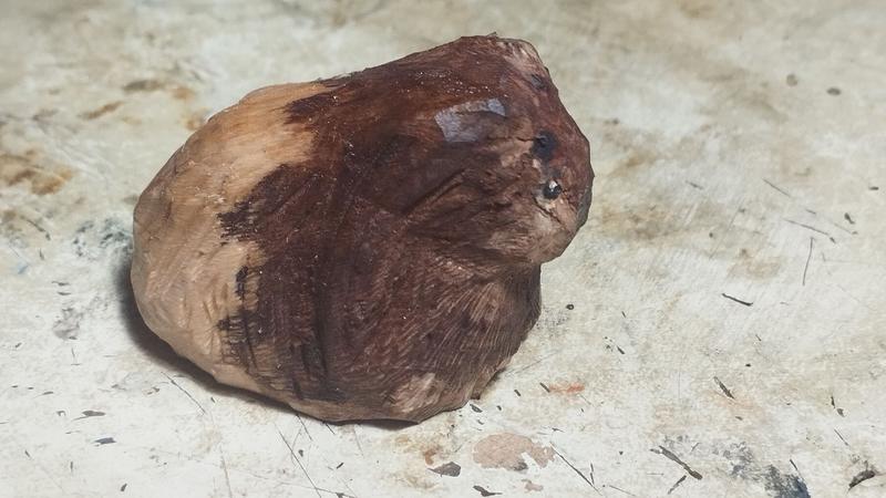 Un cochon d'Inde en bois. Il est bicolore, l'avant plus foncé