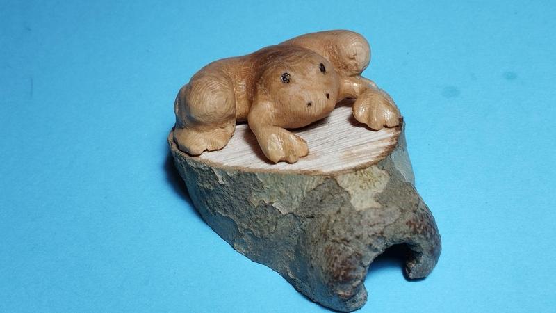 Autre angle de vue de la grenouille