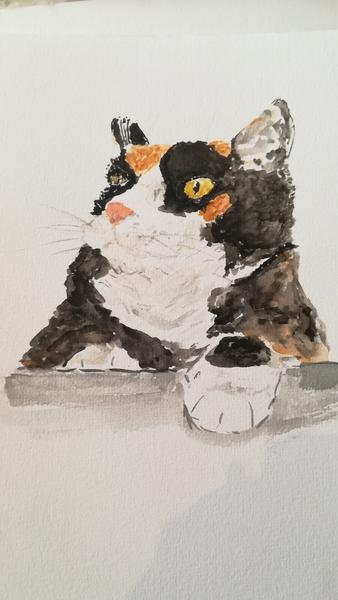 Aquarelle de Nola 