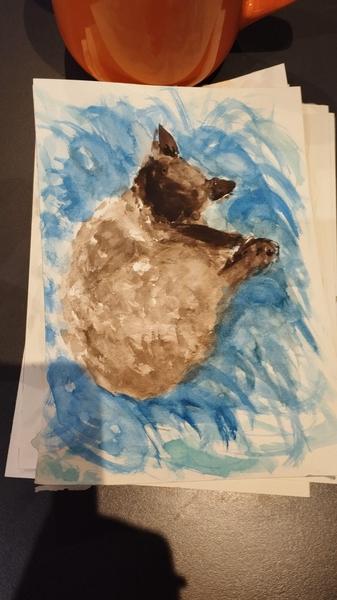 Aquarelle d'une siamoise qui dort en boule