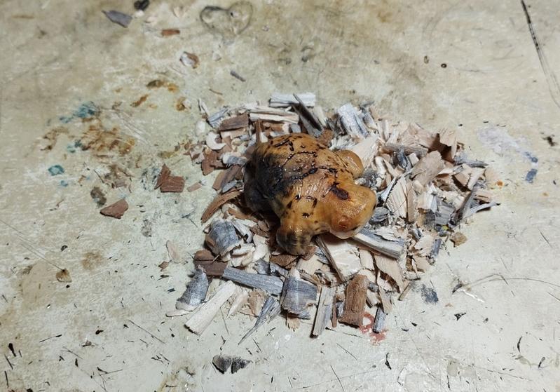 Une petite tortue en bois vue de dessus