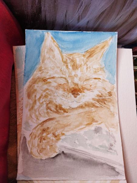Aquarelle de tyson qui dort