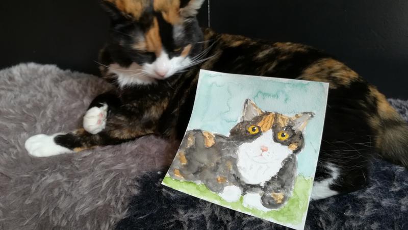 Photo d'une chatte tricolore à côté de son portrait en aquarelle 