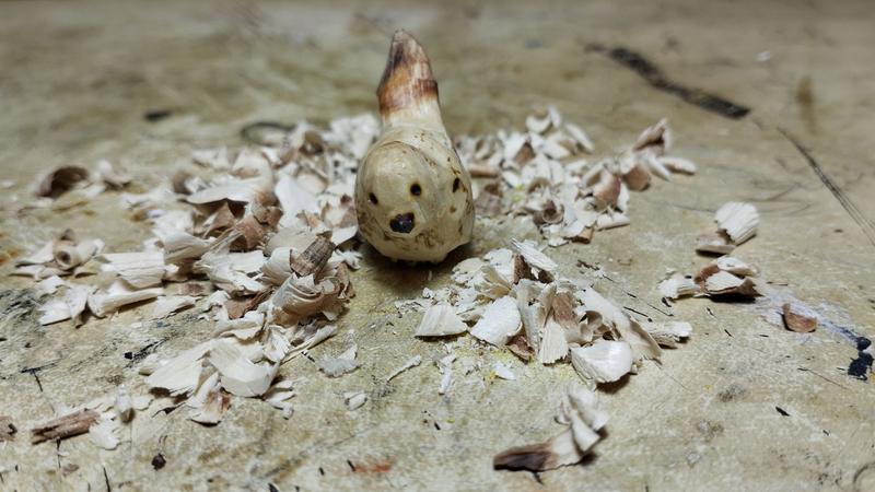 Oiseau vu de face, il penche légèrement sa tête de mimi piou