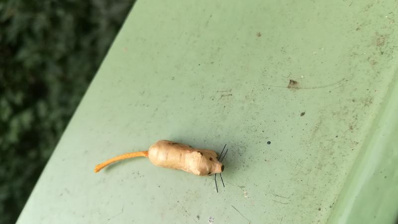 Petite sculpture de rat, vue de dessus 