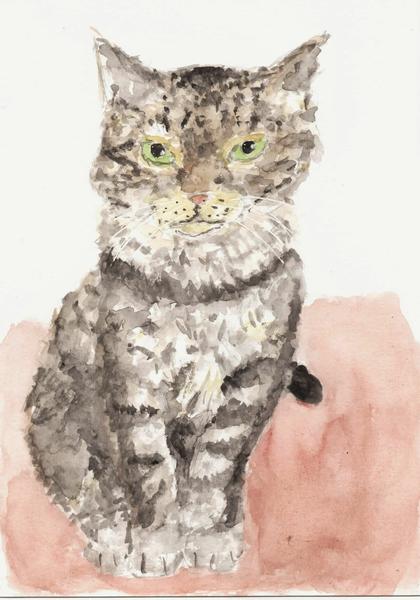 Aquarelle d'une chatte tigrée