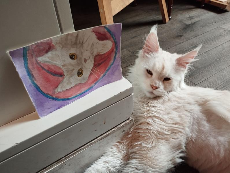 Photo du Maine coon posant à côté de l'aquarelle 
