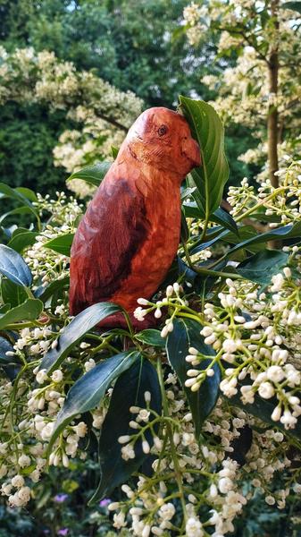 Un perroquet en bois posé sur une branche de sureau en fleur