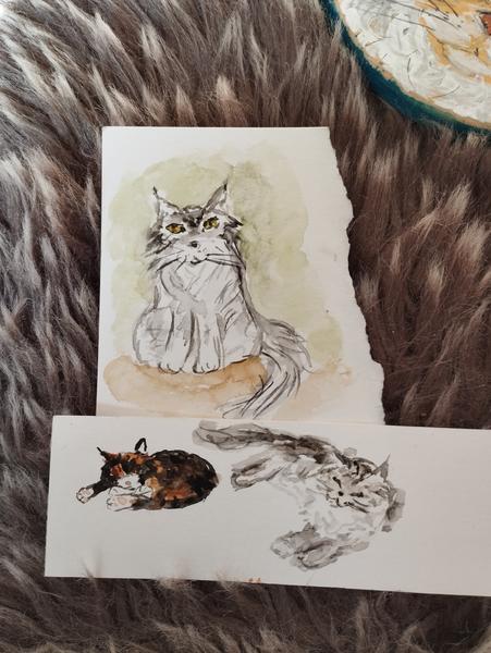 Trois mini aquarelles. Un chat gris, assis, une chatte tricolore qui dort et une chatte grise qui prend le soleil 