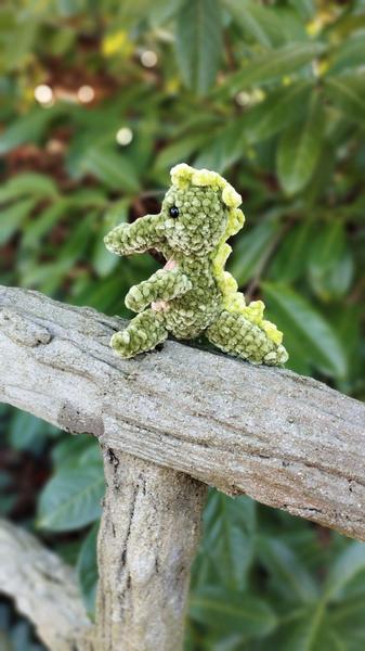 Autre angle de vue de l'alligator