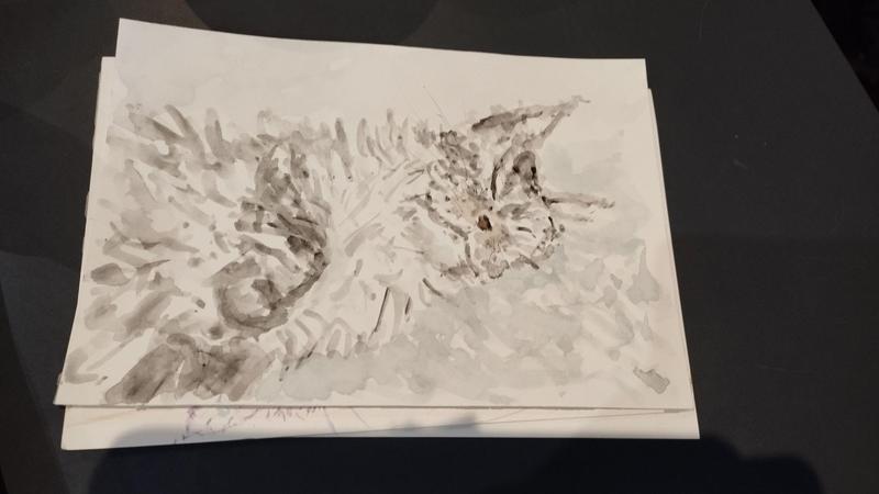 Aquarelle d'une maine coon grise qui dort. Position meilleure sieste, allongée, pattes avant repliées