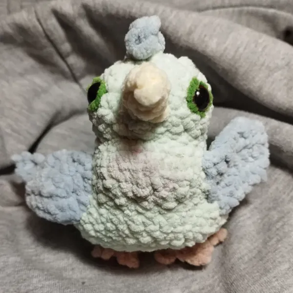 L'oiseau vu de face