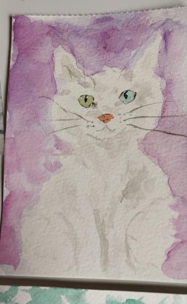 Aquarelle d'un chat blanc aux yeux vairons 