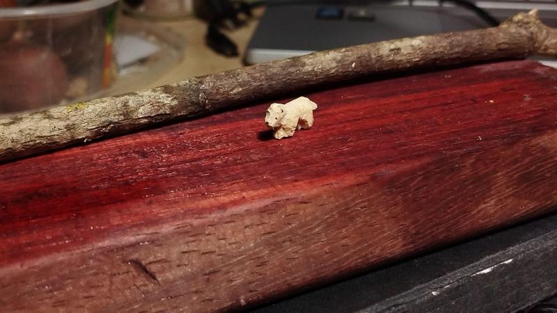 Un petit chien en bois, marchant à 4 pattes