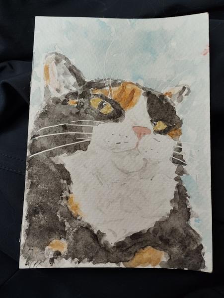 Aquarelle d'une chatte tricolore. La pose de la chatte montre une chatte fière, sûre de sa supériorité sur l'humain